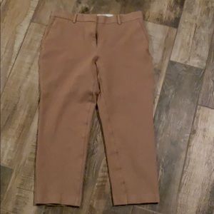 Ann Taylor Curvy Crop